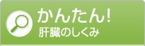 かんたん! 肝臓のしくみ