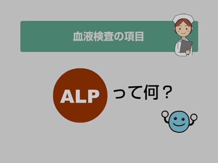 解説アニメ 血液検査の項目 Alpって何 血液検査の意味 L 肝機能の数値 肝臓の数値を調べる肝機能ナビ